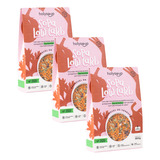 Kit 3x Holy Soup Sopa Low Carb 160g Saudável Sem Glúten
