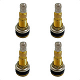 Kit 4 Bico Pito Válvula Pneu Trator Sem Camara Tr 618a