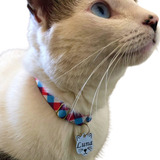 Kit 4 Coleiras Gatos Nome Gravado Cada Uma Personalizado