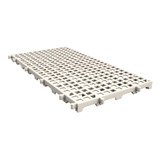 50x25