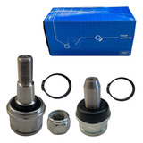 Skf