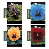 Kit 4 Sementes Flor Amor Perfeito Azulamarelo,preto,vermelho