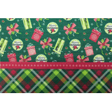 Kit 4 Servico Americano Descanso Prato Natal 45x30cm Verde