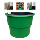 Kit 4 Vaso Autoirrigável Floreira Plantas Armazém Do Verde