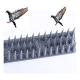 Kit 40 Pçs Espanta Pássaro, Pombo. Repelente, Espiculas 