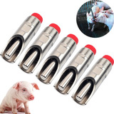 Kit 5 Bebedouro Chupeta Inox Suíno Porco Adulto 7cm