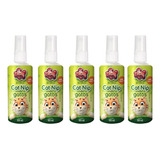 Kit 5 Catnip Liquido Spray -