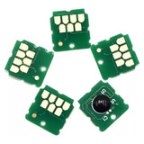 Kit 5 Chip Caixa Manutenção Epson F570 F571 T3170 5170 3170x