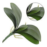 Kit 5 Folhas De Orquídea Artificial Cattleya Verde