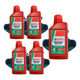 Kit 5 Oleo 2 Tempo Castrol Chainsaw Motor Oil