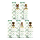 Kit 5 Perfumes Carícia 15ml Parfum Amakha Paris Bolso