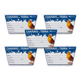 Canário