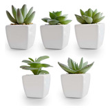Kit 5 Vasinhos Decorativos Com Mini Suculentas Artificiais