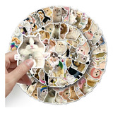 Kit 50 Adesivos Sticker Gato Gatinho Cat Fofinhos Memes