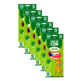 Kit 6 Caixas Lápis De Cor 12 Cores Grande Leo Eco Atacado