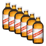 Kit 6 Cerveja Jamaicana Red Stripe Lager 330ml