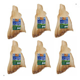 Kit 6 Mordedor Pet Para Cães Orelha Bovina Natural Dip Dog