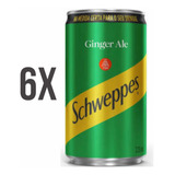 Kit 6  Schweppes Ginger Ale