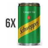 Kit 6  Schweppes Ginger Ale