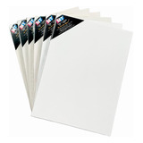 Kit 6 Telas Para Pintura 20x30cm P/ Tinta A Óleo E Acrílica