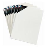 Kit 6 Telas Para Pintura 30x40cm P/ Tinta A Óleo E Acrílica
