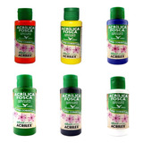 Kit 6 Tintas Acrílica Fosca Para Artesanato 60ml Acrilex