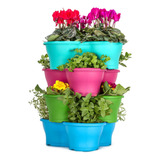 Horta