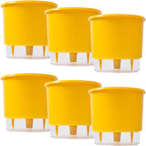 Kit 6 Vaso Raiz Auto Irrigável N3 16x14cm Amarelo Plantas