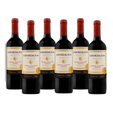 Kit 6 Vinho Chileno Exportacion Cabernet