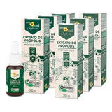 Kit 6x Extrato De Própolis Orgânico 30ml Apis Flora