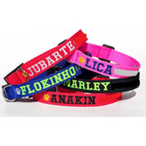 Kit 7 (sete) Coleiras Identificação Bordada Personalizada
