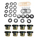Kit 8 Válvulas + Jg De Reparo Jp-100 Pulverizador Jacto
