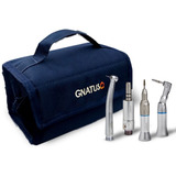 Gnatus