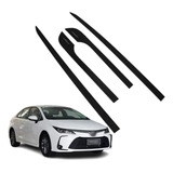 Carbono