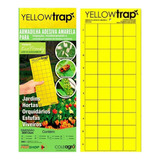 Kit Armadilha Adesiva Yellow Trap Insetos Voadores 10 Un