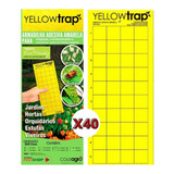 Kit Armadilha Adesiva Yellow Trap Insetos Voadores 40 Un