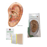 Kit Auriculoterapia Iniciante Mapa Orelha Agulha