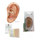 Kit Auriculoterapia Iniciante Mapa Orelha Agulha