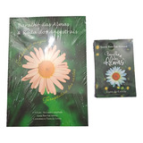 Kit Baralho Das Almas E Livro Sonia Boechat Salema