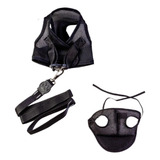 Kit Boné E Coleira Para Cães - Colete E Boné Aerado Preto Eg