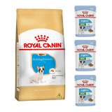 Canin