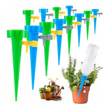 Planta