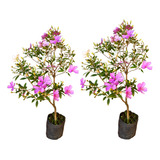 Florindo