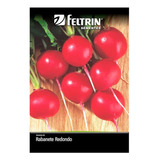 Feltrin