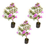 Florir