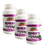 Kit C/ 3 Un Semente De Uva Resveratrol 360 Caps 500mg