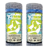 Morlan