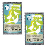 Morlan