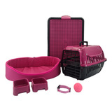 Kit Cachorro Cama Europa Transporte Sanitário Educador Tam P