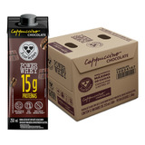 Kit Cappuccino Chocolate Power Whey 12 Unidades Com 250ml Cada 3 Corações